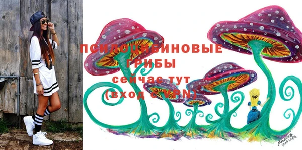 спиды Инта