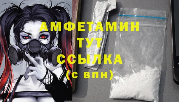 спиды Инта