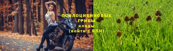 спиды Инта
